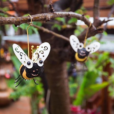 Pao Come Boutique House (Adults Only) Chiang Mai Bagian luar foto